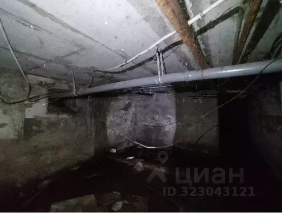 Помещение свободного назначения в Башкортостан, Уфа ул. Блюхера, 27/2 ... - Фото 2