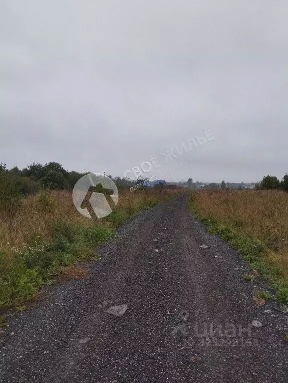 Участок в Пермский край, Пермский муниципальный округ, д. Заречная ... - Фото 2