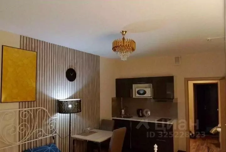 Студия Санкт-Петербург Пулковское ш., 14Д (26.0 м) - Фото 2