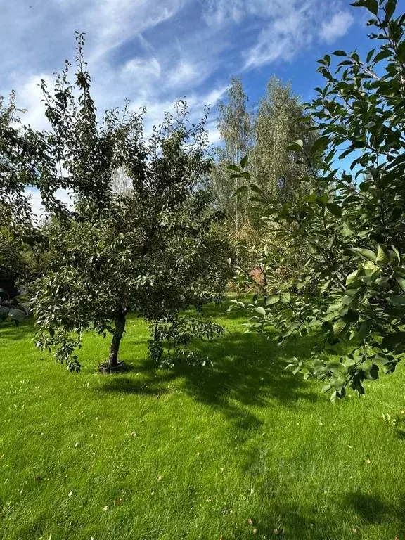 Дом в Московская область, Раменский муниципальный округ, Березки кп ... - Фото 2