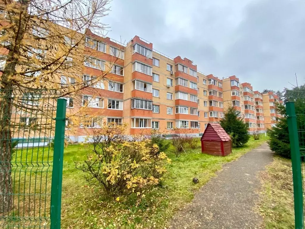 1-к кв. Московская область, Пушкинский городской округ, Зеленоградский ... - Фото 1