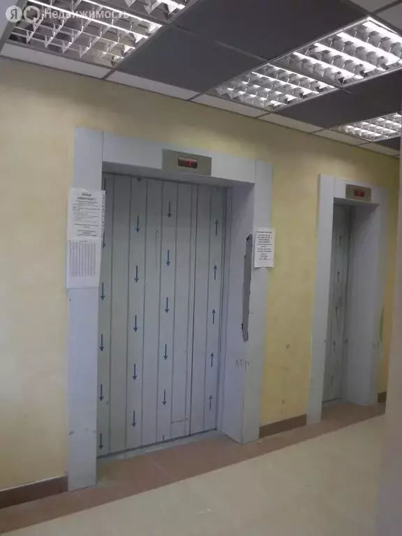 Квартира-студия: Санкт-Петербург, проспект Просвещения, 43 (29.4 м) - Фото 1