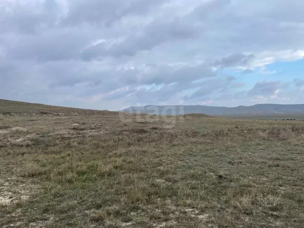 Участок в Крым, Судак городской округ, с. Миндальное  (6.0 сот.) - Фото 0