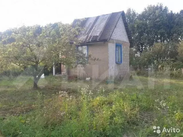 Деревня татаренкова курского района. Зелёная роща ставропольский край. Дачный участок центральный округ курск. Курск зеленая роща. Совхозная улица курск.