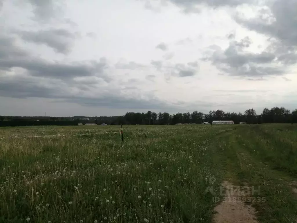 Участок в Московская область, Мытищи городской округ, д. Лысково  ... - Фото 1