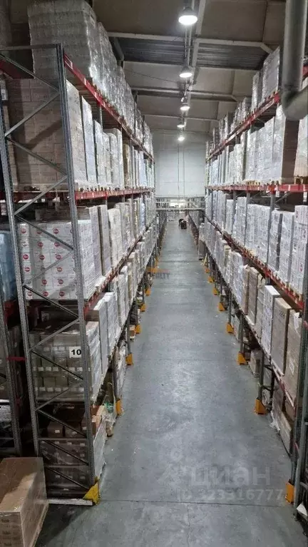 Производственное помещение в Московская область, Домодедово городской ... - Фото 1