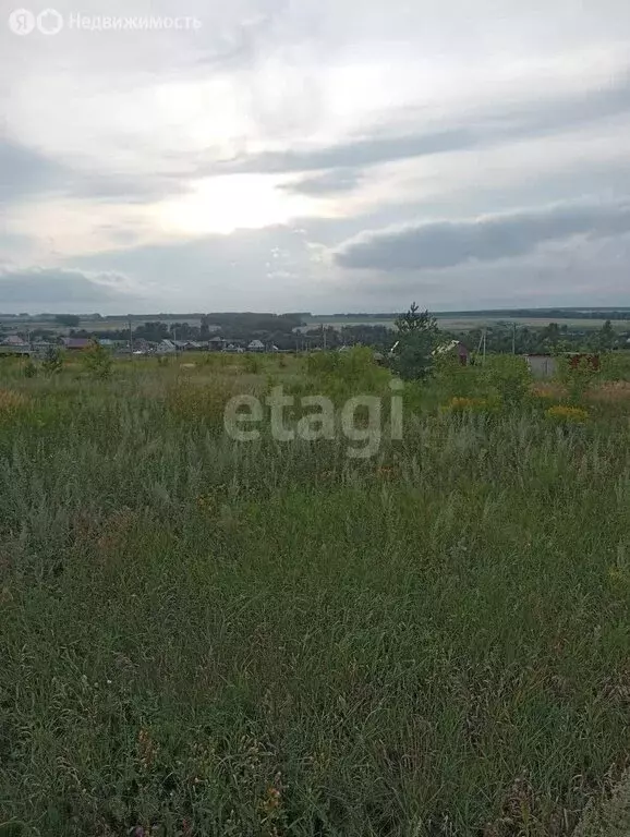 Участок в Чишминский район, Лесной сельсовет, село Алкино-2 (12 м) - Фото 2