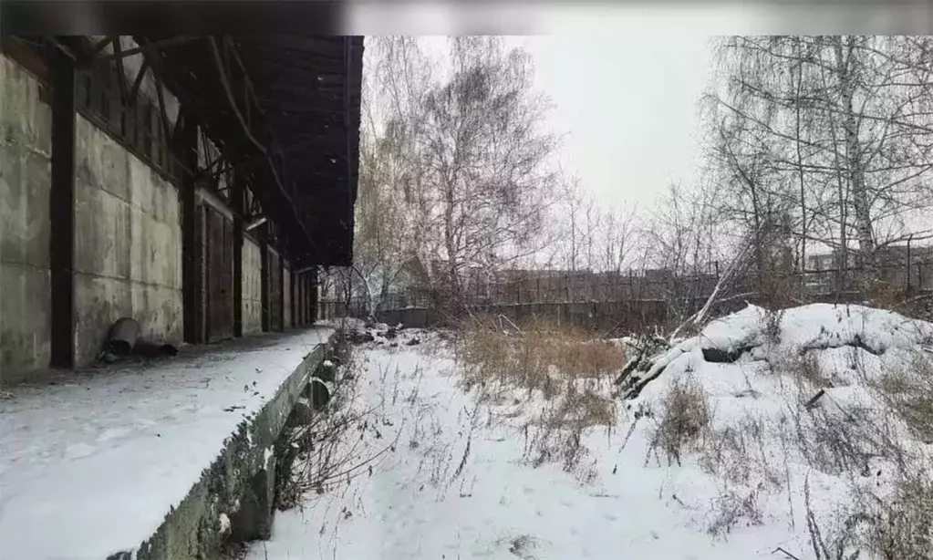 Помещение свободного назначения в Свердловская область, Екатеринбург ... - Фото 1