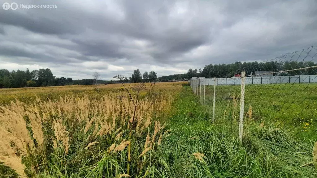 Участок в Тульская область, городской округ Тула, деревня Страхово (29 ... - Фото 2