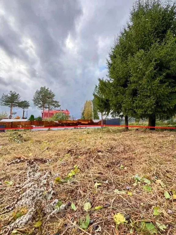 Участок в Москва д. Сальково,  (9.0 сот.) - Фото 2