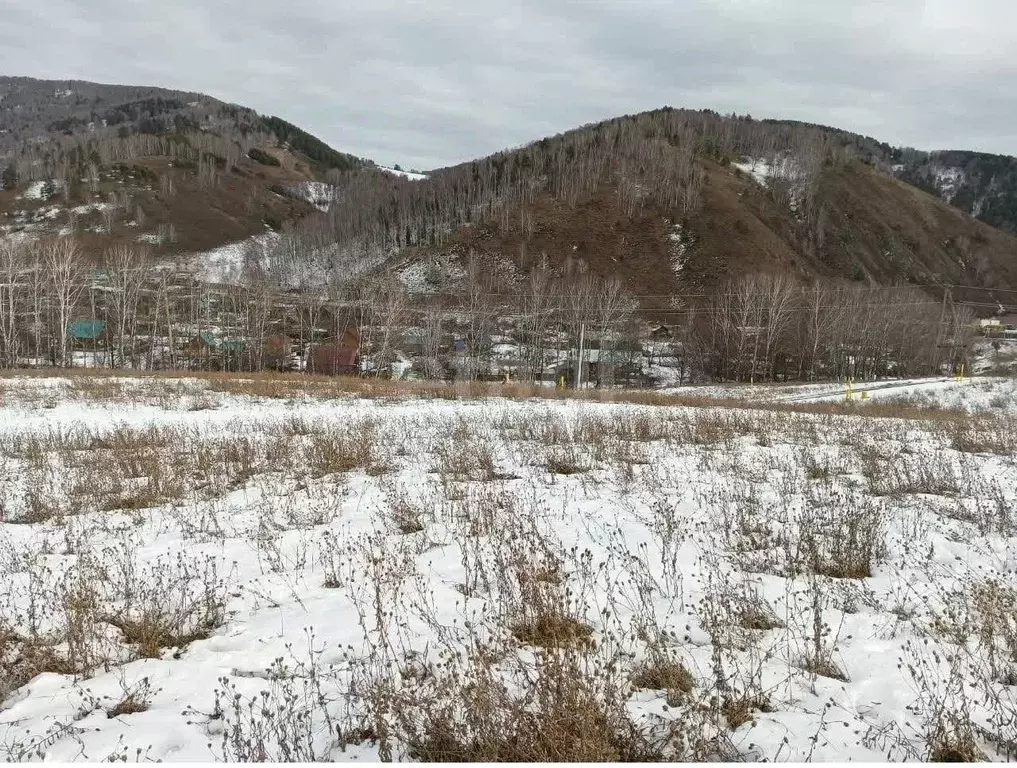 Участок в Алтай, Майминский район, с. Бирюля ул. Таркольская, 37 (14.0 ... - Фото 1