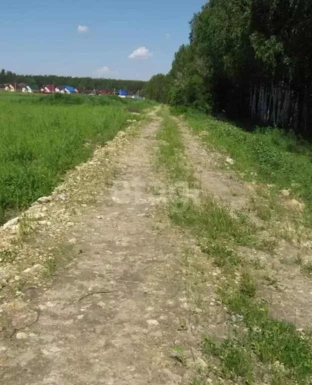 Участок в Свердловская область, Полевской муниципальный округ, с. ... - Фото 0