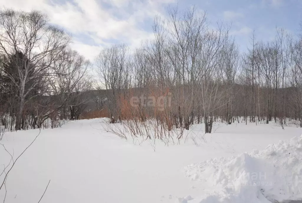 Участок в Сахалинская область, Анивский городской округ, с. ... - Фото 1