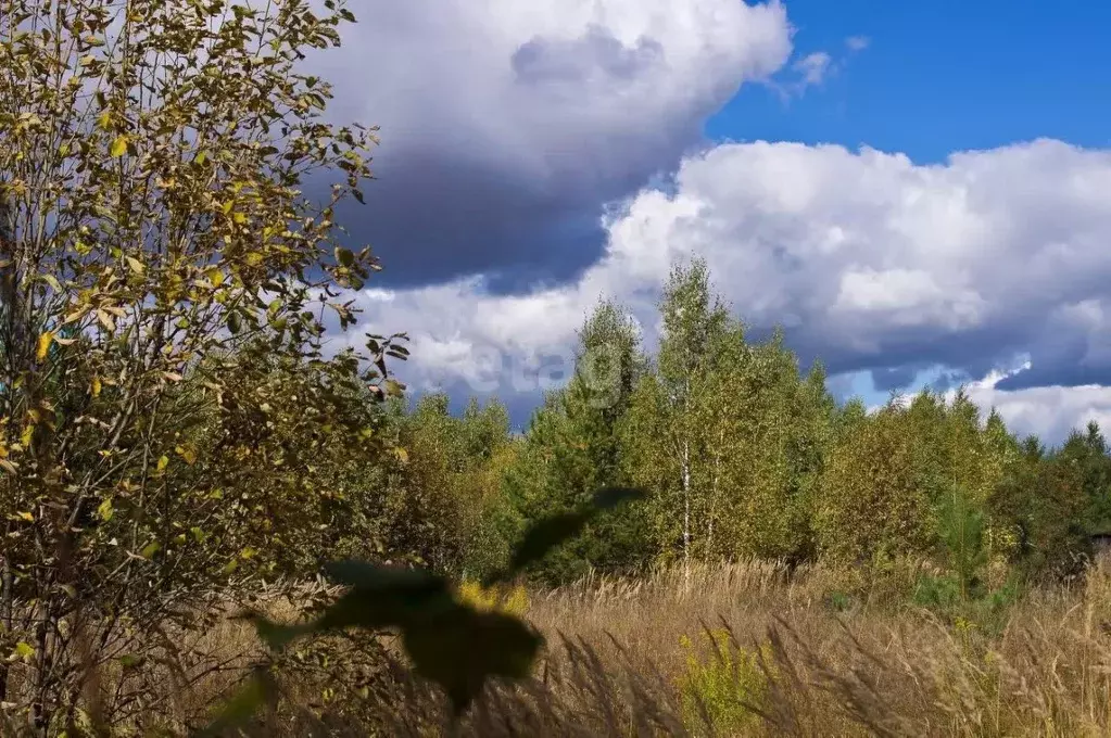 Участок в Нижегородская область, Дальнеконстантиновский муниципальный ... - Фото 1