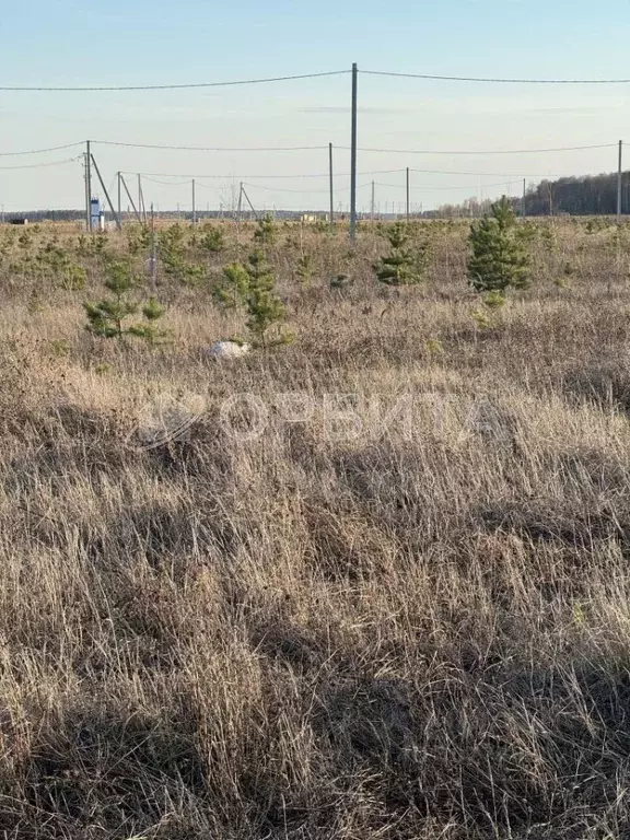 Участок в Тюменская область, Тюменский район, с. Кулига, Кулига-2 мкр  ... - Фото 1