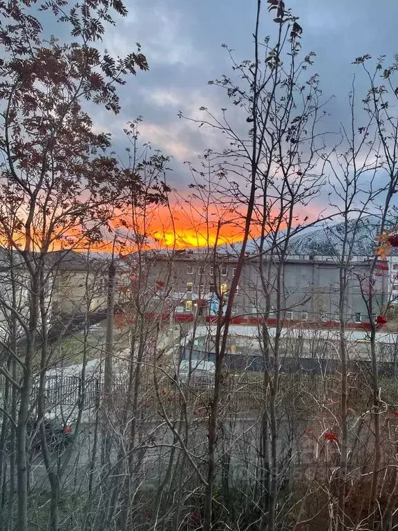 3-к кв. Мурманская область, Кировск Олимпийская ул., 30 (65.0 м) - Фото 2