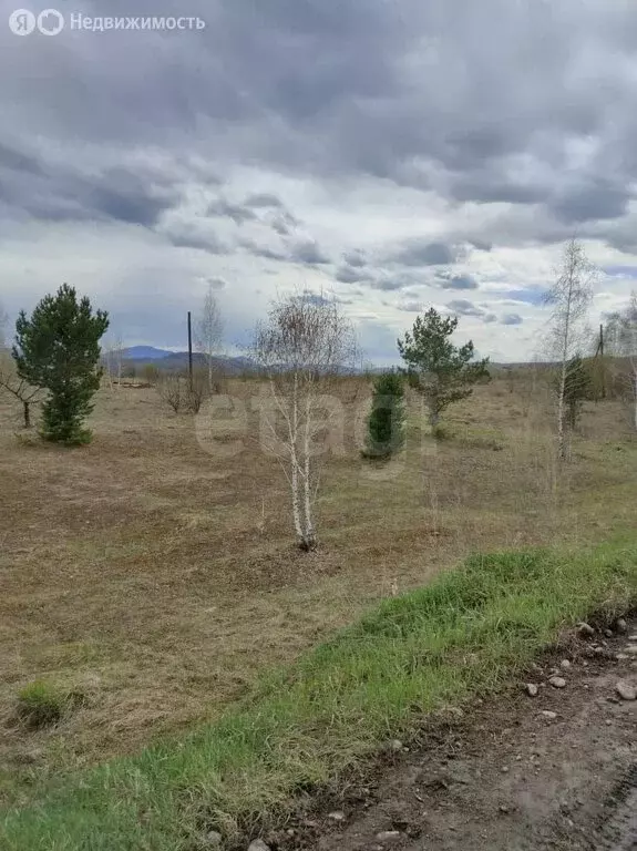 Участок в Майминский район, село Подгорное, Ягодный переулок (10.33 м) - Фото 1