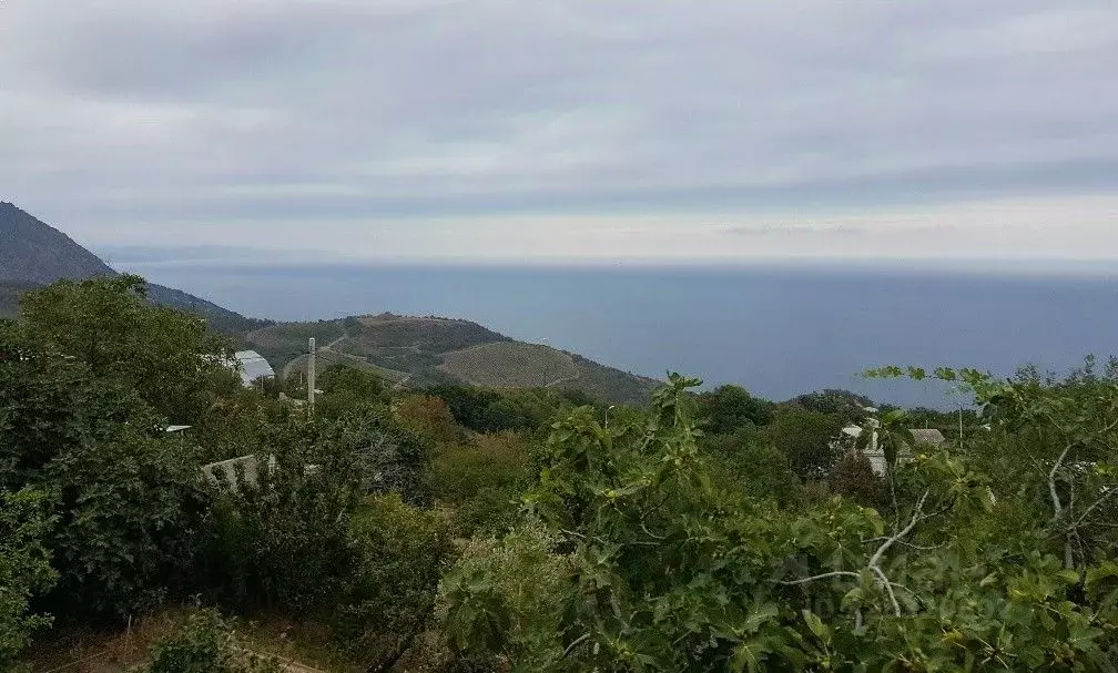 Участок в Крым, Алушта муниципальный округ, с. Малый Маяк ул. ... - Фото 1