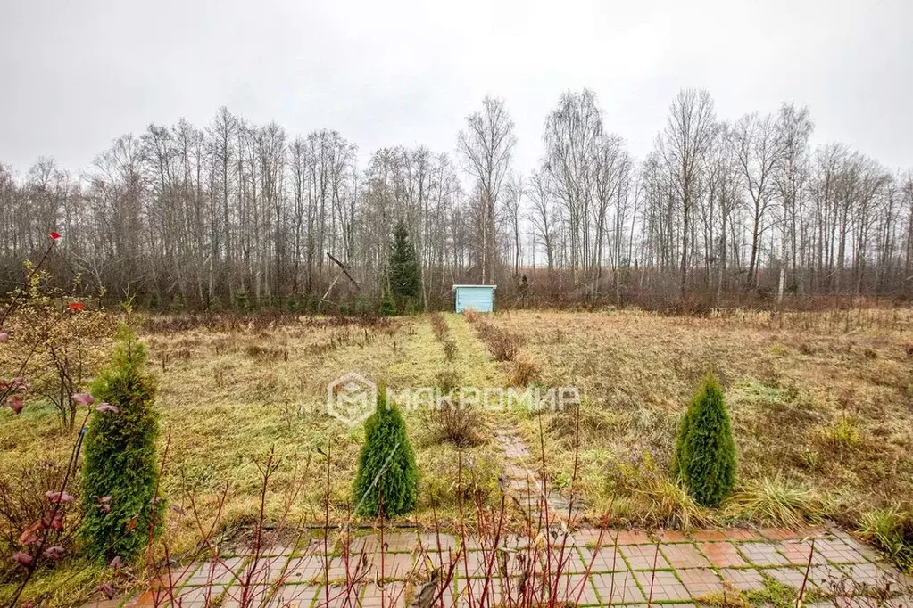 Участок в Ленинградская область, Выборгский район, Рощинское городское ... - Фото 1