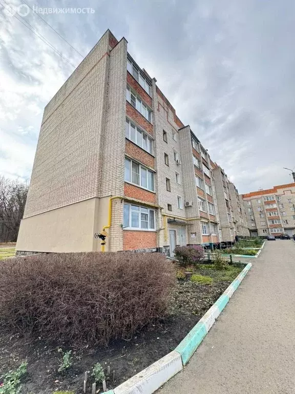 3-комнатная квартира: Ефремов, улица Энтузиастов, 15 (62.9 м) - Фото 2