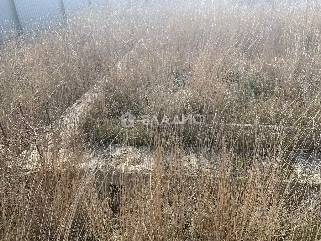 Участок в Севастополь с. Орловка, ул. Озерная, 22 (6.6 сот.) - Фото 1