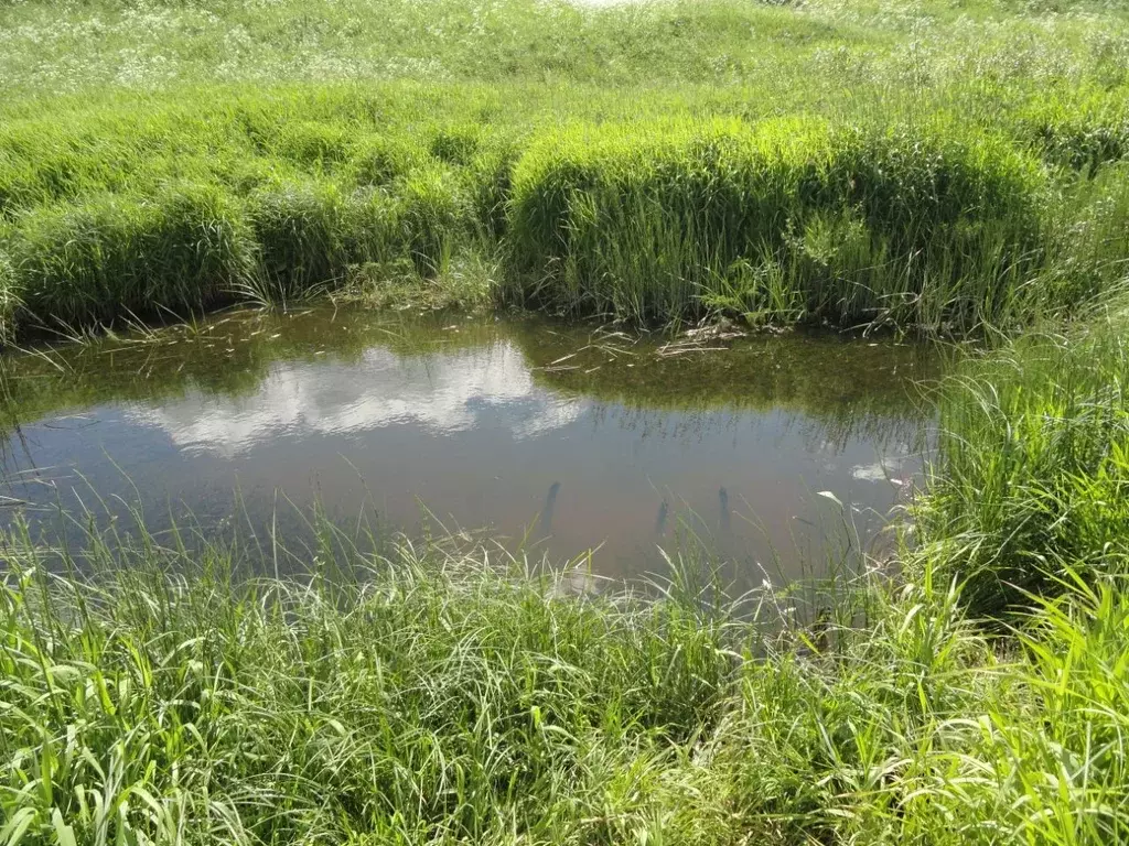 Участок в Ярославская область, Мышкинский муниципальный округ, д. ... - Фото 2