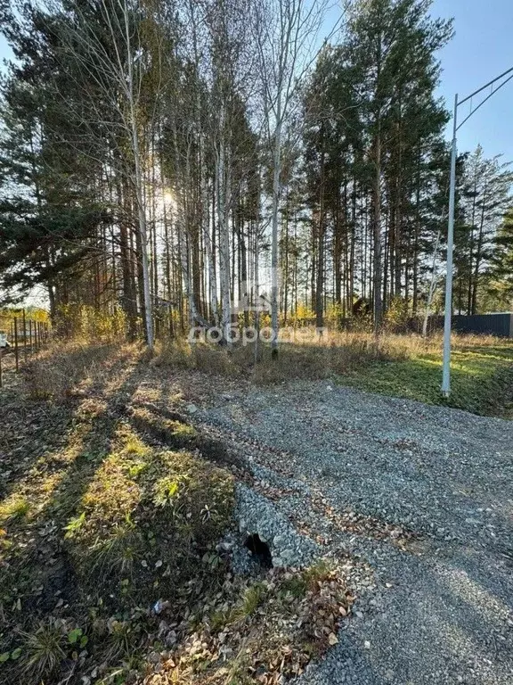 Участок в Свердловская область, Сысертский муниципальный округ, пос. ... - Фото 1