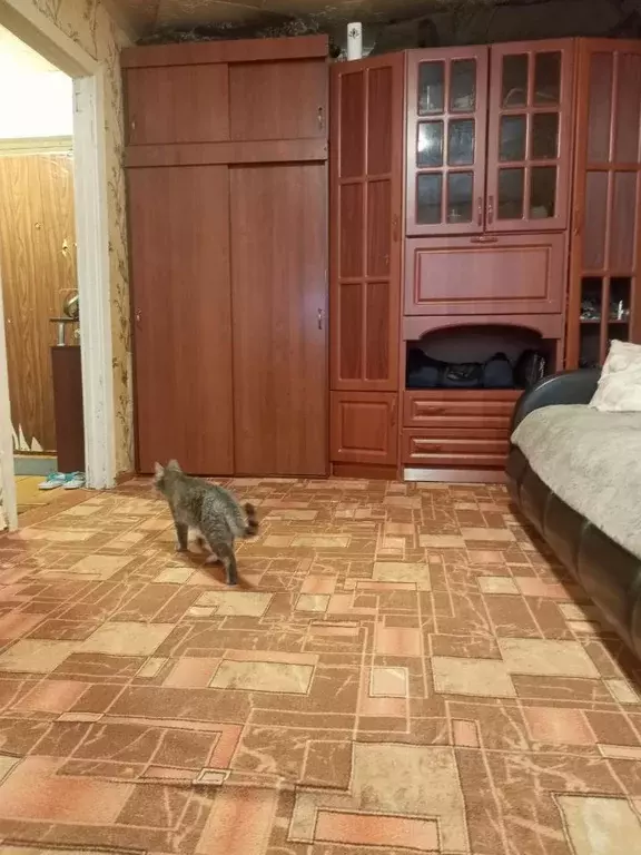 1-к кв. Самарская область, Самара Днепровский проезд, 5 (30.5 м) - Фото 2