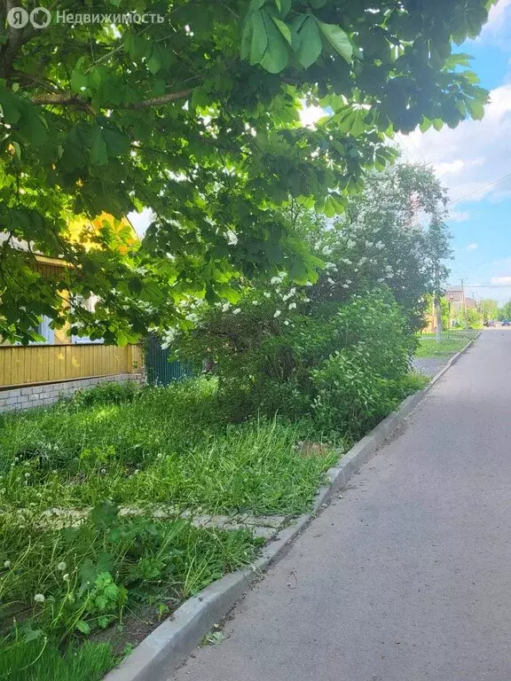 Дом в Старая Русса, улица Дзержинского (38.7 м) - Фото 2