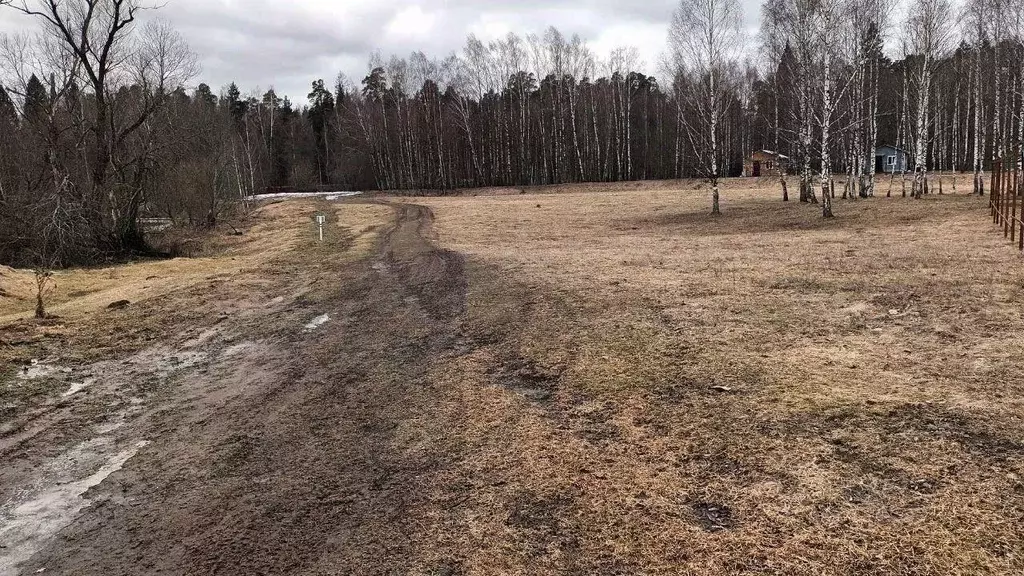 Участок в Московская область, Лосино-Петровский городской округ, д. ... - Фото 0
