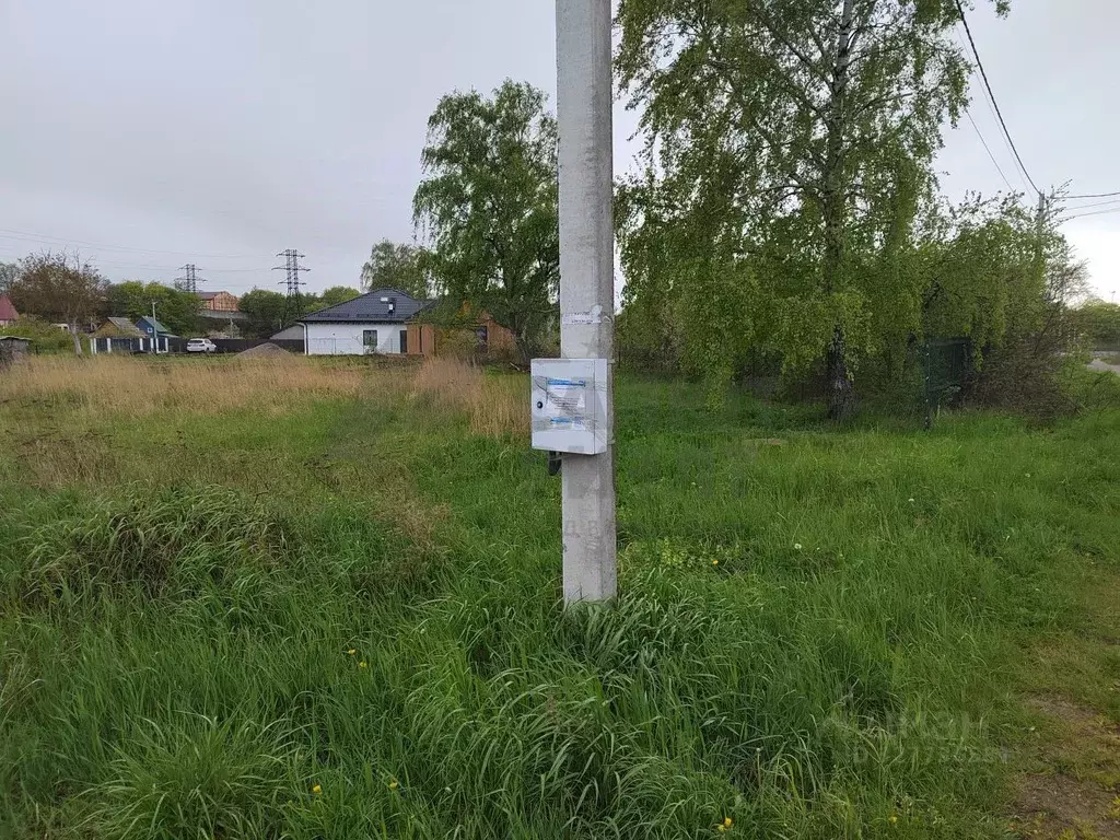 Участок в Калининградская область, Янтарный пгт ул. Заозерная, 44 ... - Фото 2