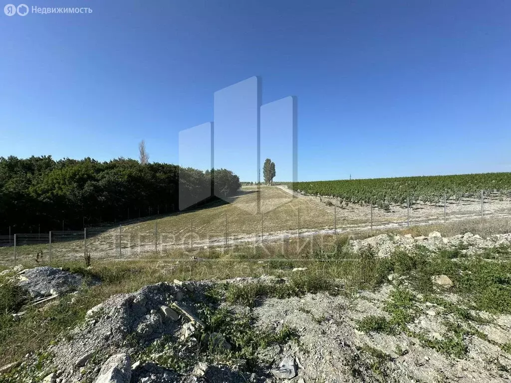 Участок в Краснодарский край, городской округ Новороссийск, село ... - Фото 1