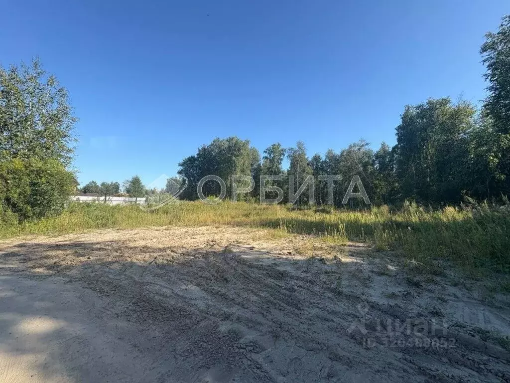 Участок в Тюменская область, Тюменский район, Боровский пгт ул. ... - Фото 1