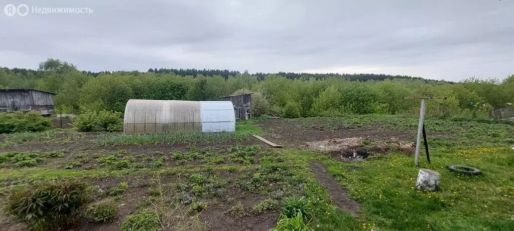 Дом в Заринск, улица Анатолия (53.3 м) - Фото 1