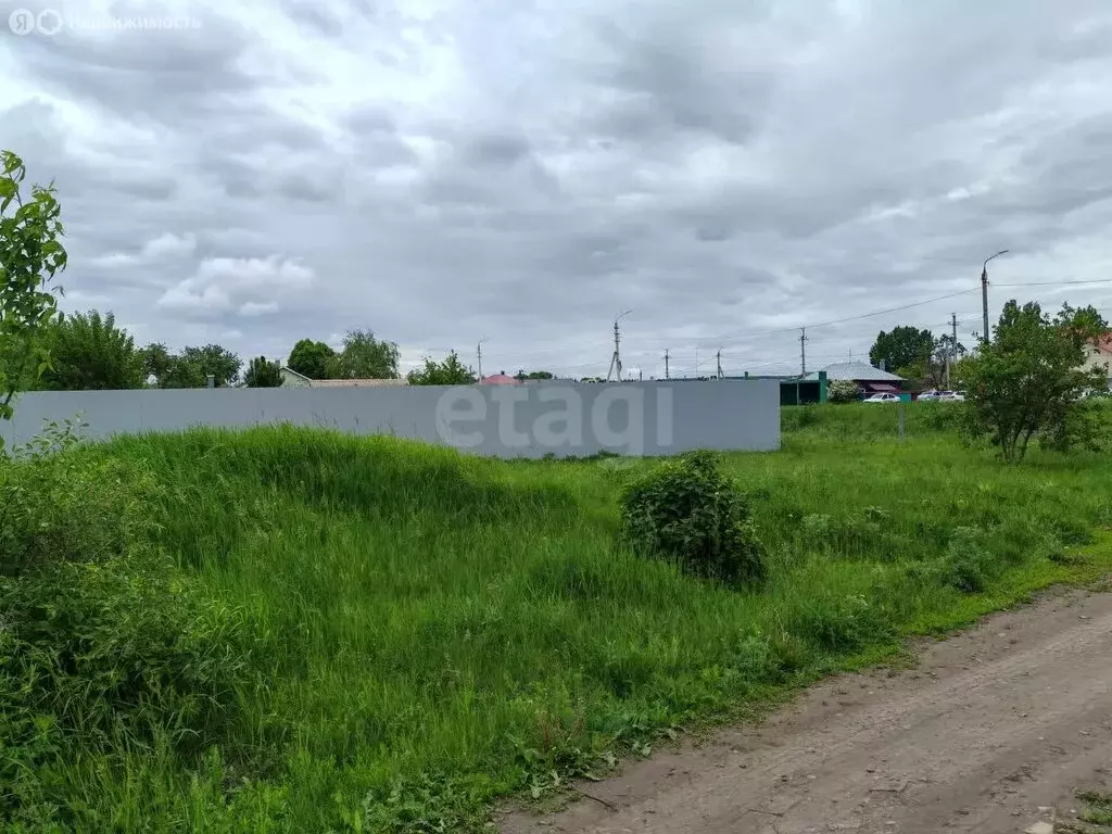 Участок в Борисоглебск, улица Плеханова (592 м) - Фото 0