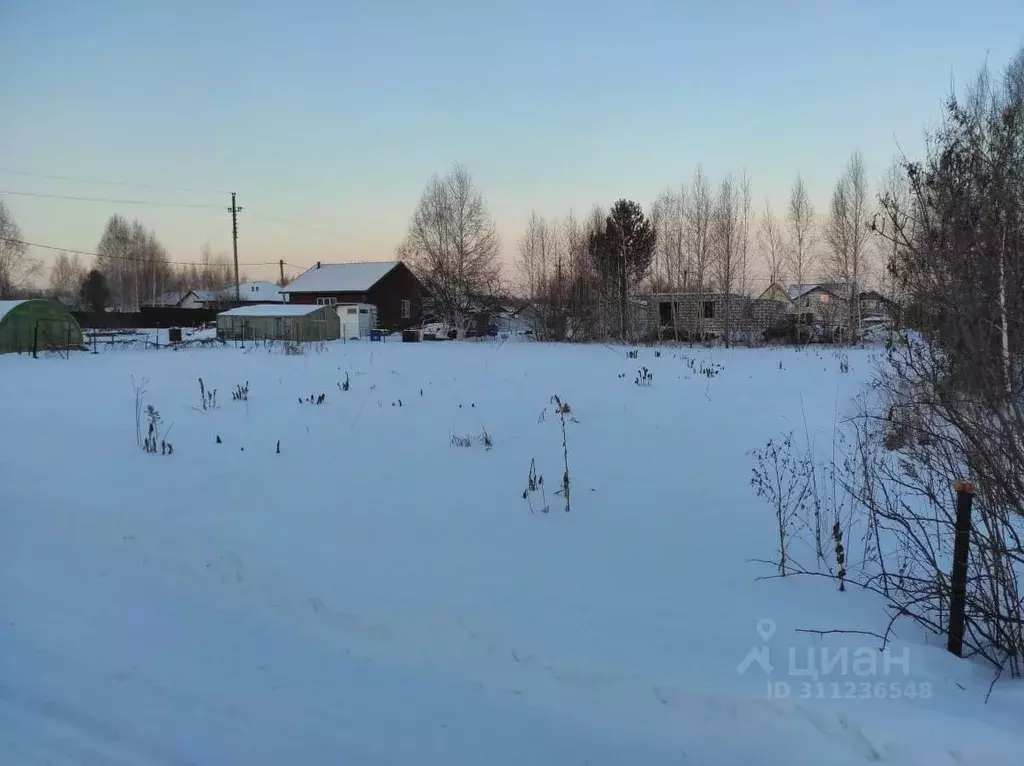 Участок в Новосибирская область, Новосибирский район, Каменский ... - Фото 1