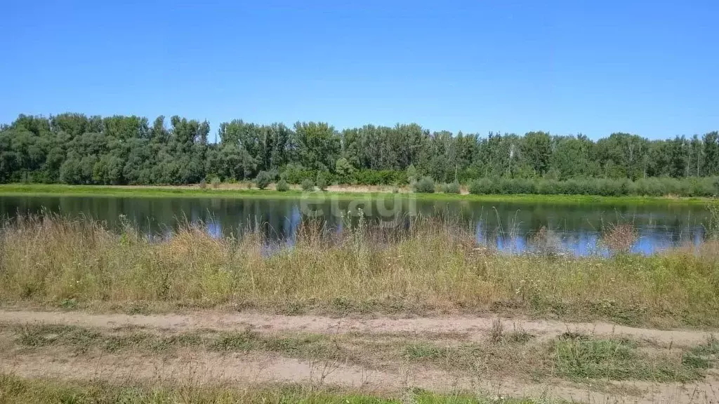 Участок в Башкортостан, Нуримановский район, Красногорский сельсовет, ... - Фото 0