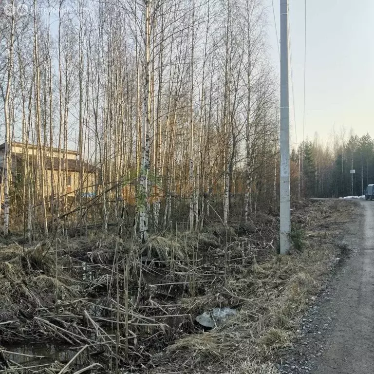 Участок в Лесколовское сельское поселение, СНТ Новая Рохма (13 м) - Фото 1