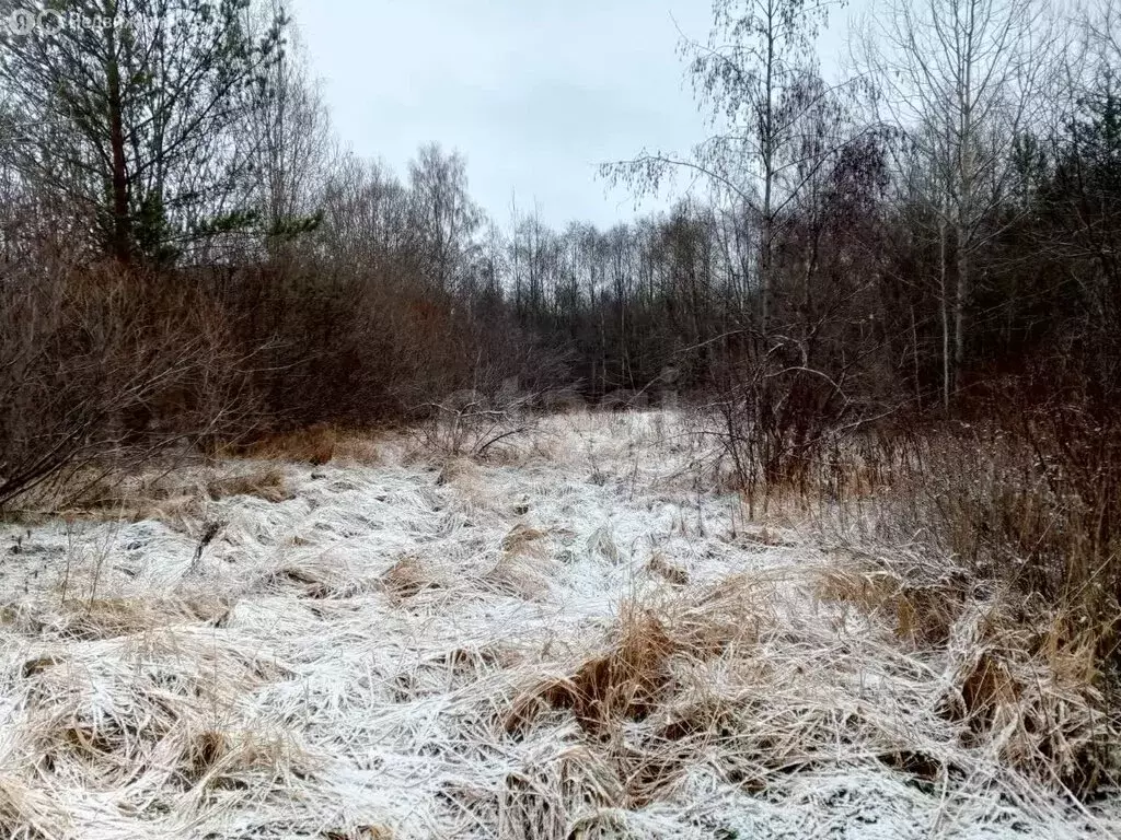 Участок в Псковский район, Ершовская волость, деревня Мысс (15 м) - Фото 1