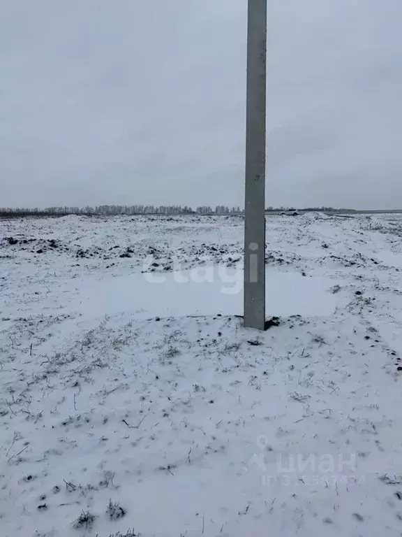 Участок в Белгородская область, Белгородский район, Головинское с/пос, ... - Фото 1