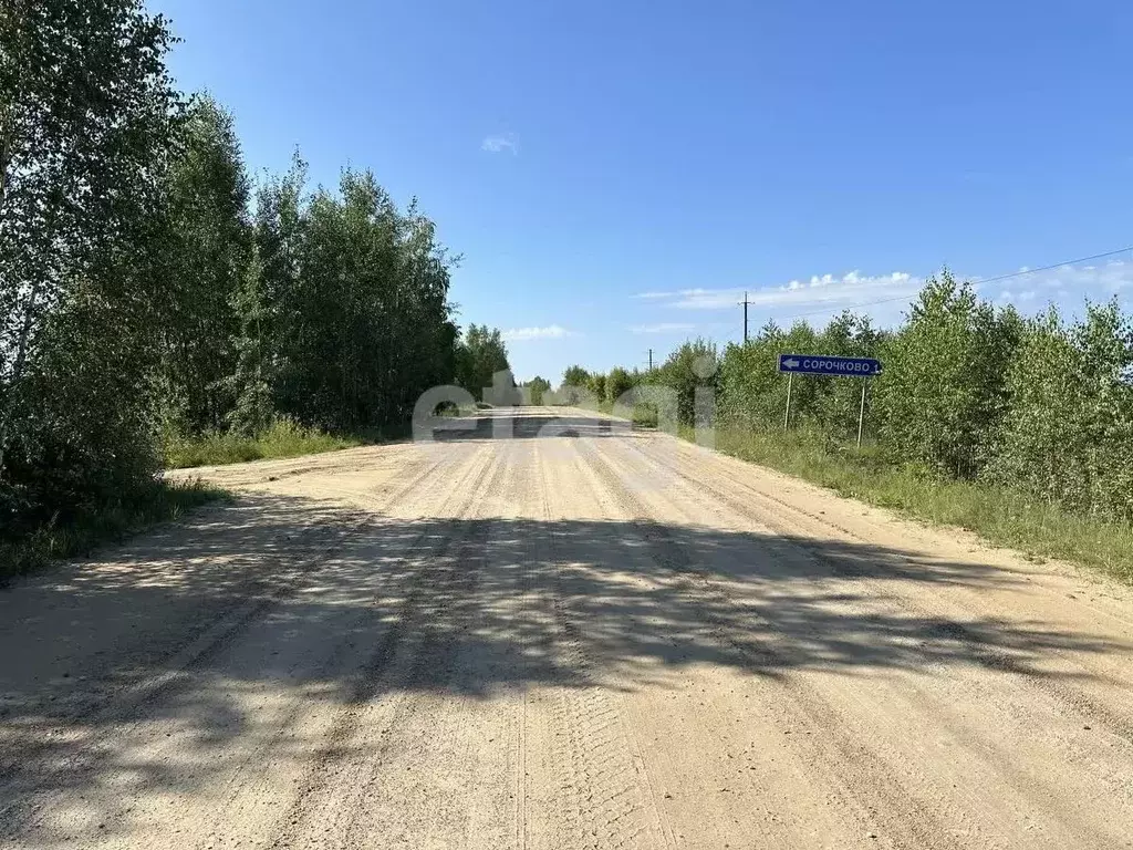 Дом в Костромская область, Кадыйский муниципальный округ, д. Сорочково ... - Фото 1