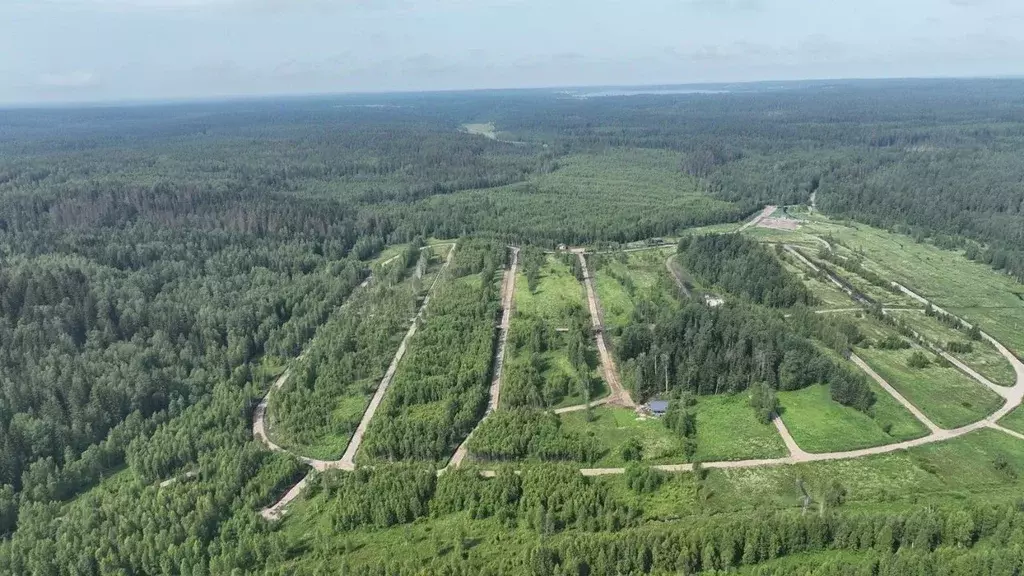 Участок в Ленинградская область, Приозерский район, Раздольевское ... - Фото 1
