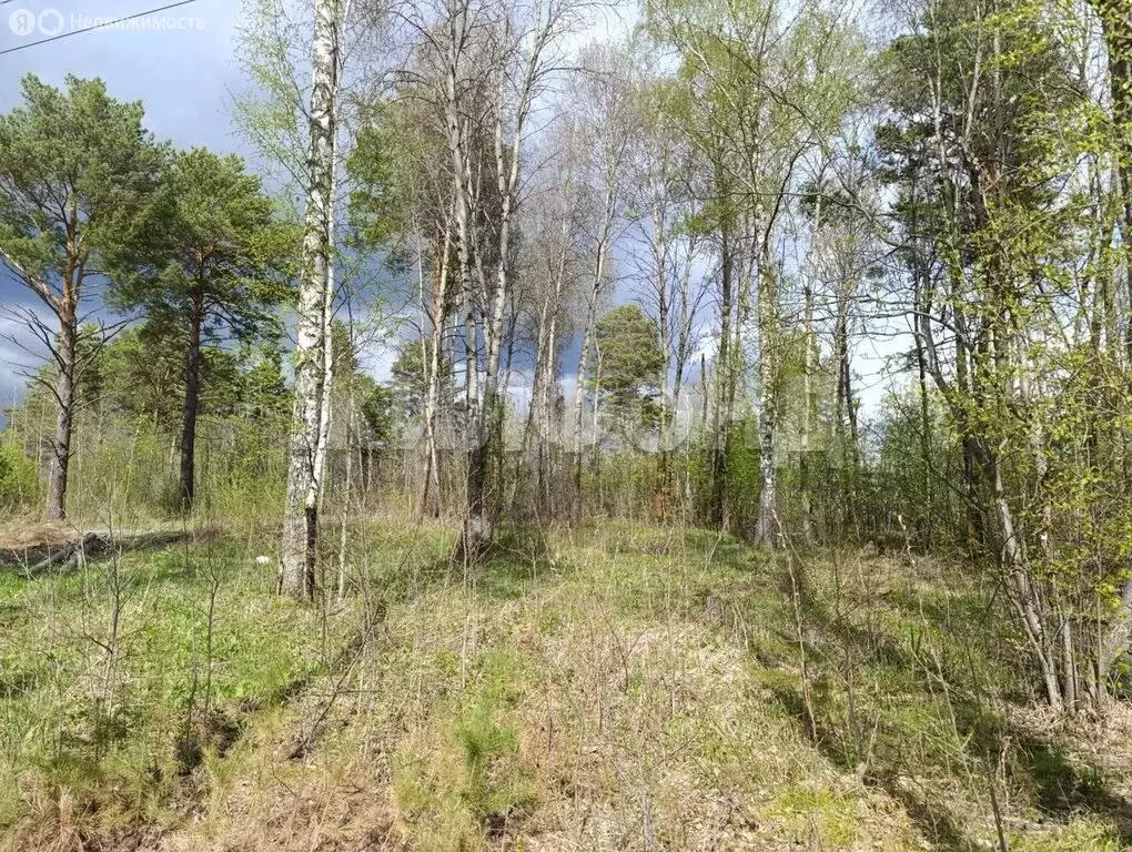 Участок в посёлок Синий Утёс, Синий утёс (15 м) - Фото 0