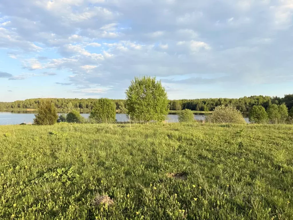 Участок в Московская область, Волоколамский муниципальный округ, д. ... - Фото 2