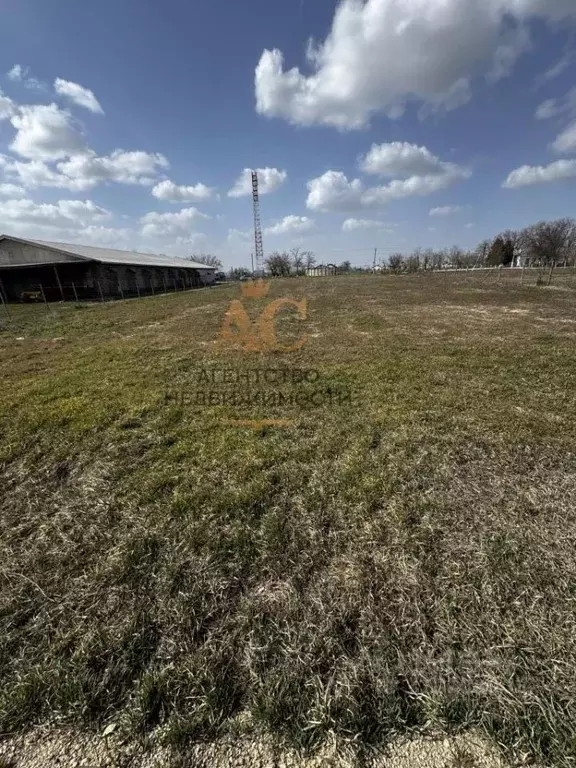 Участок в Крым, Советский район, с. Пушкино ул. Первомайская (25.0 ... - Фото 1