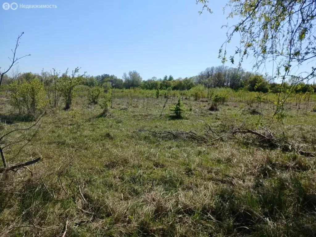 Участок в аул Шенджий, улица Пушкина, 22 (732 м) - Фото 2