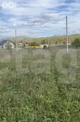 Участок в Майминский район, село Подгорное, Луговая улица (15 м) - Фото 2