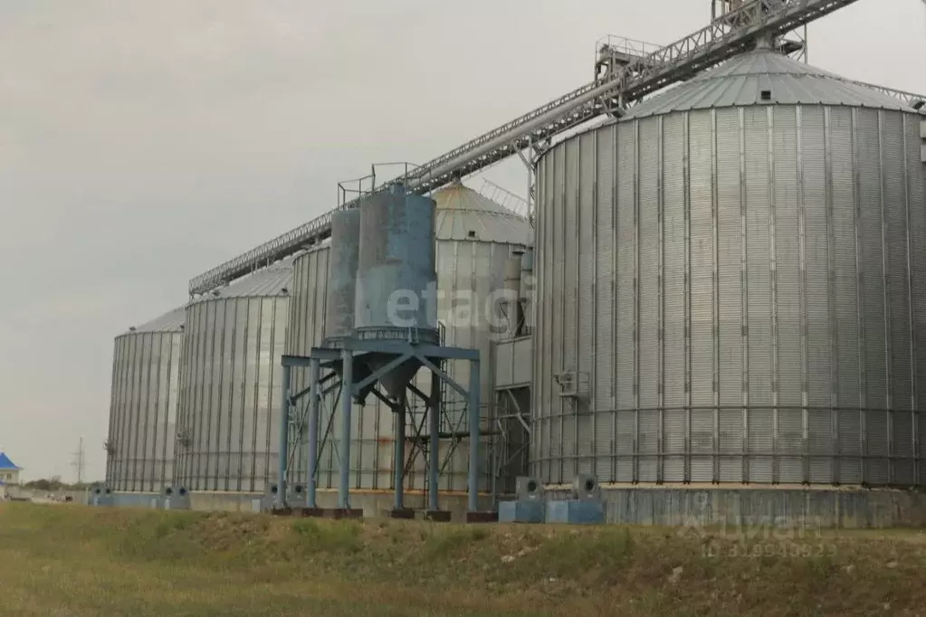 Склад в Ставропольский край, Грачевский муниципальный округ, с. ... - Фото 2