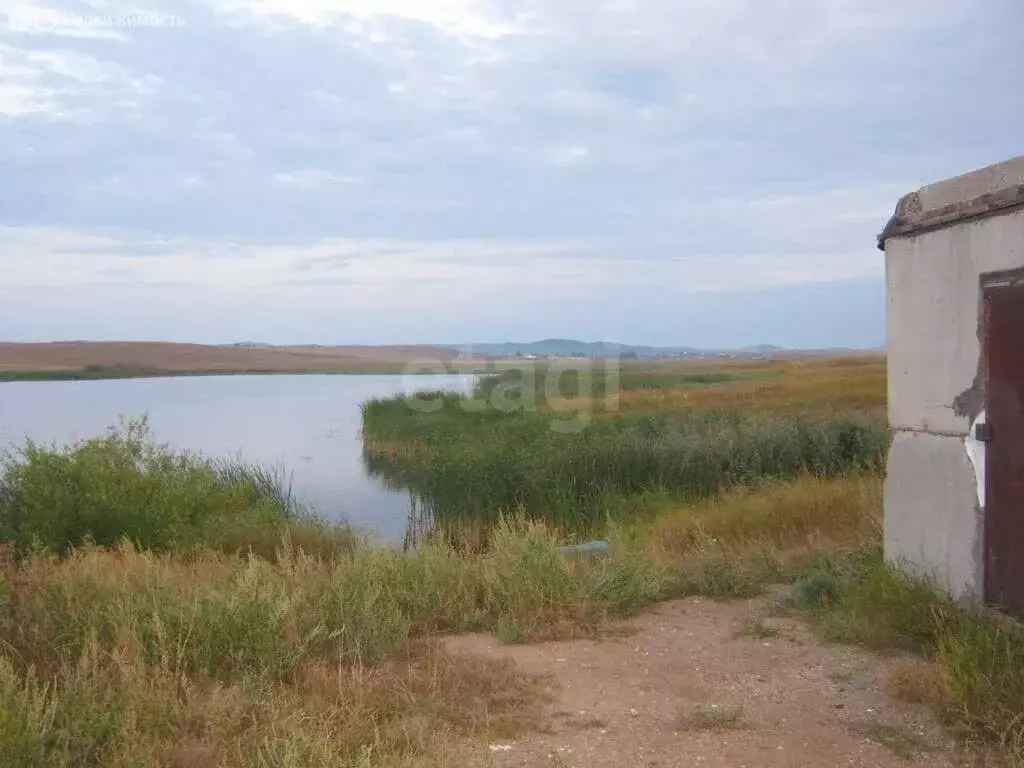 Участок в Челябинская область, Уйский муниципальный округ, посёлок ... - Фото 2