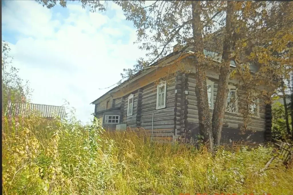 Участок в Вологодская область, Вашкинский муниципальный округ, с. ... - Фото 0
